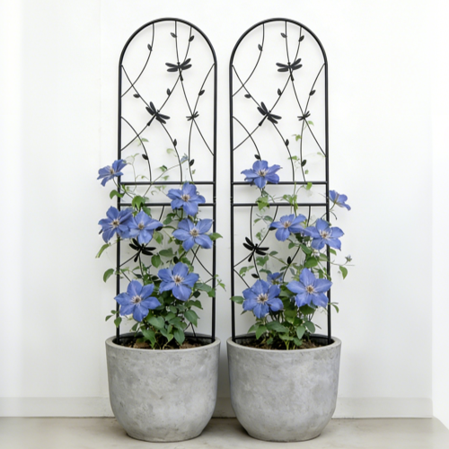 2 Pack 71 in. Iron Garden Trellis Garden Fencing for Climbing Plants, Dragonfly Decorative Plant Trellis, Black