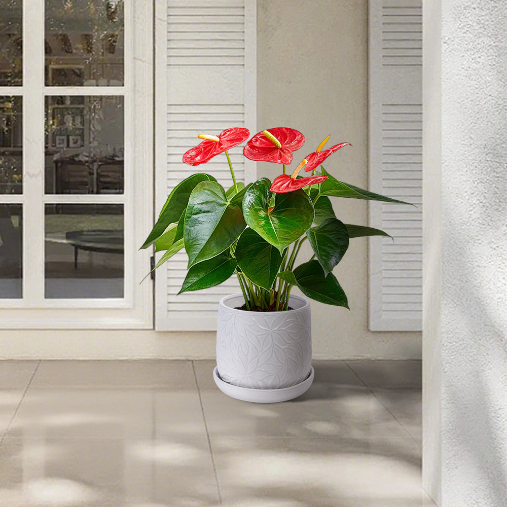 Handmade White Glossy Ceramic Planter Set of 2, 6" & 8" Diameter, Leaf Pattern Design, for Succulents and Herbs Indoor/Outdoor Shelf & Table Use, Breathable Clay with Saucers