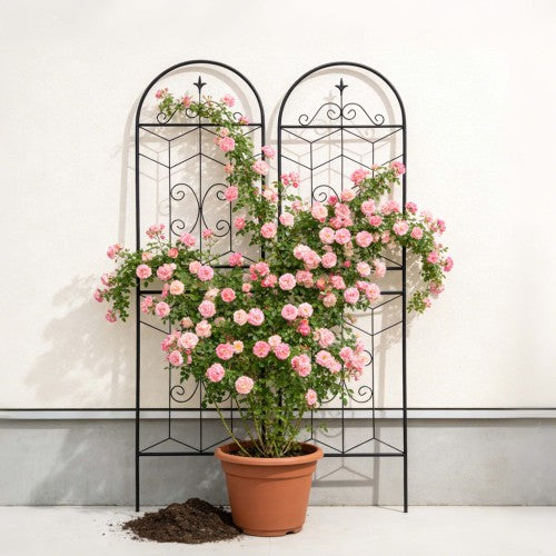 71 in. Black Iron Garden Trellis Outdoor Climbing Plant/Flower Support (2-Pack) Simple Arc Design