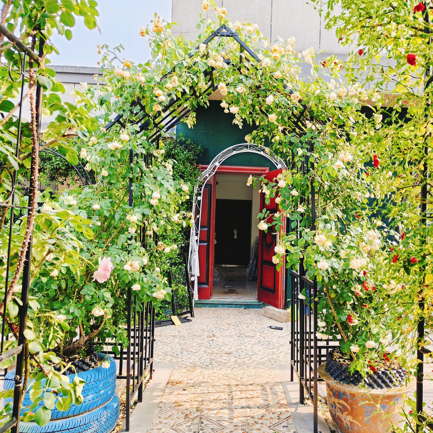 Metal Garden Arch with Adjustable Width W42.52''~W78.15''  Climbing Plants Support Rose Arch Outdoor Black