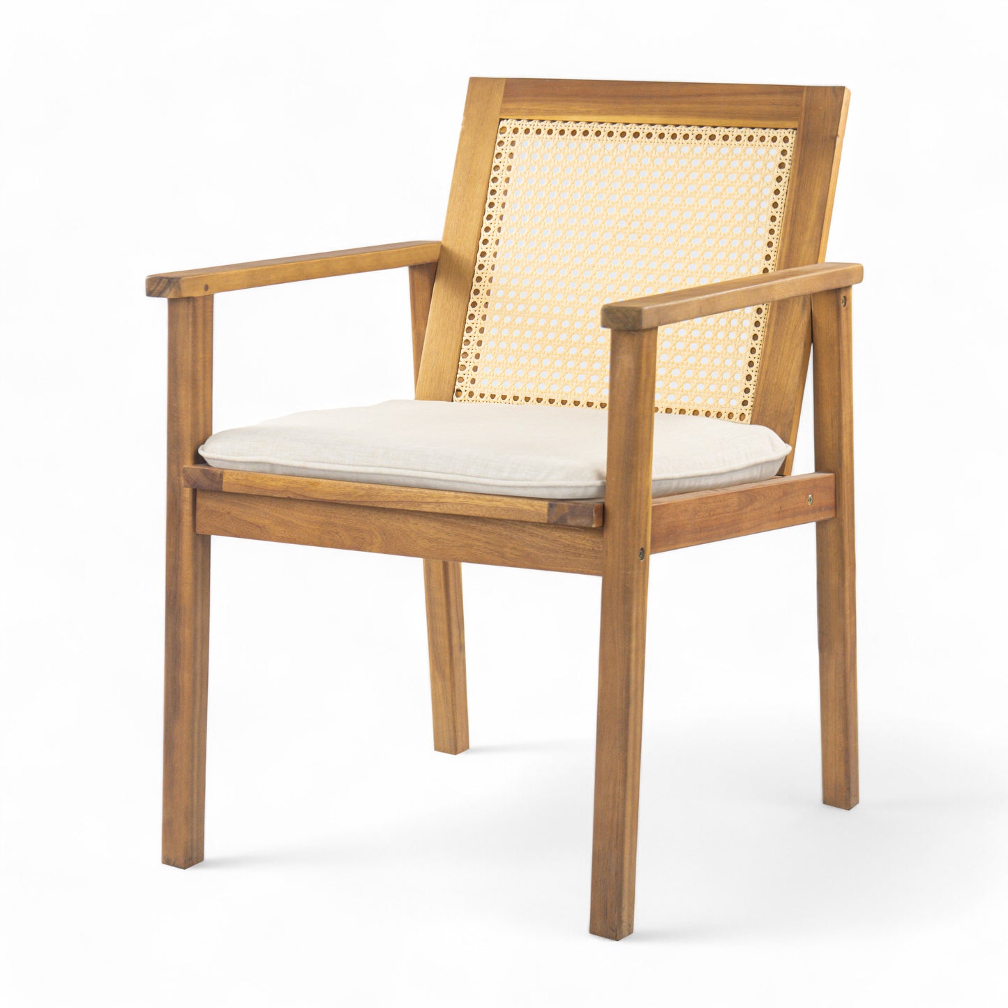 Preston Outdoor Dining Chair with Cushion(Set of 2)