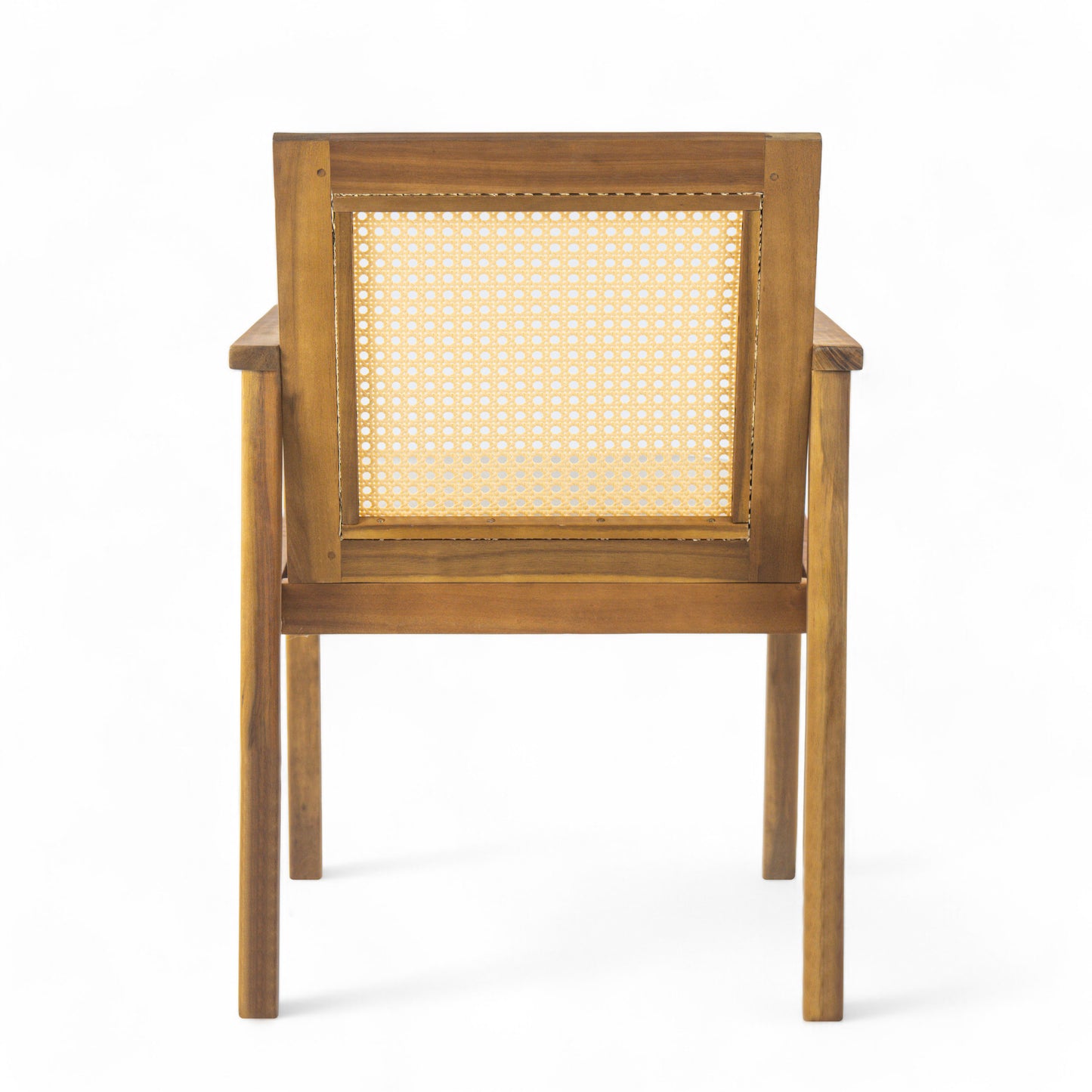 Preston Outdoor Dining Chair with Cushion(Set of 2)