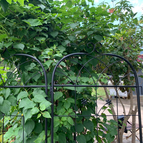71 in. H Metal Rustproof Garden Trellis in Black, Outdoor Flower Support (2-Pack)