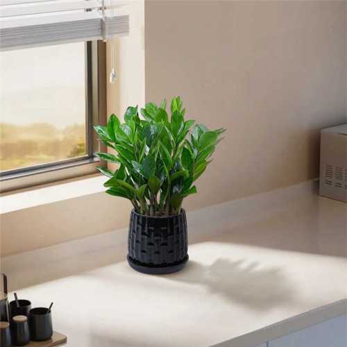 5 in. and 7 in. Black Garden Ceramic with Tray Planter (2-Pack)